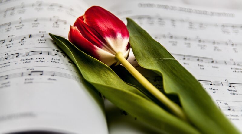 Frühjahrskonzert - Trachtenkapelle St. Donat