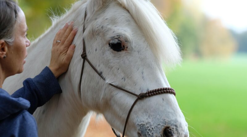 Pferdeweihe Friesach