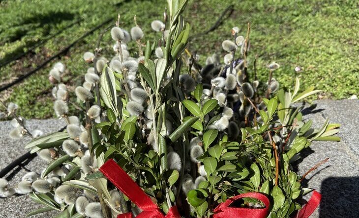 Karwoche im Dom Klagenfurt