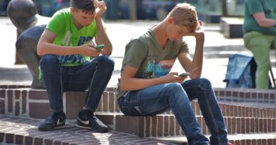 Der Einfluss digitaler Medien