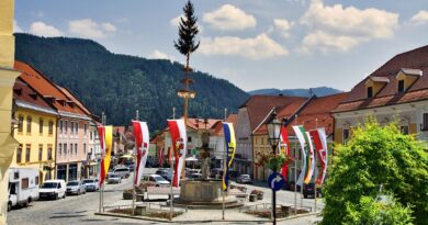 Maibaumsetzen