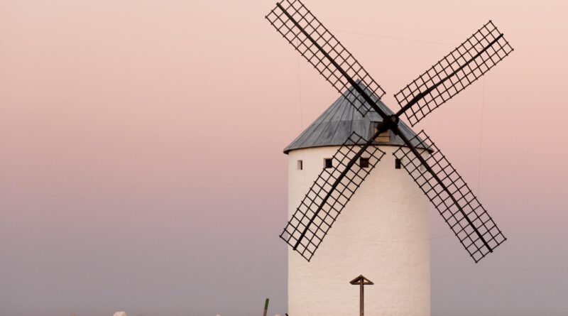 im winde scheinen - Anna Rubin