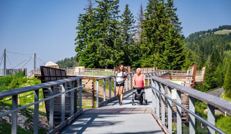 Barrierefreier Ausflug - Skywalk