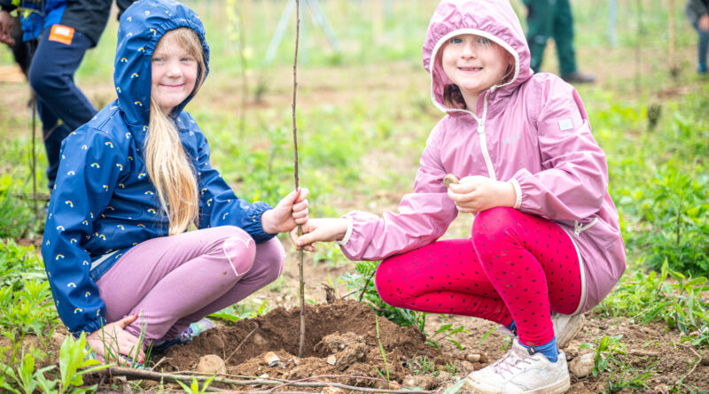 Bepflanzungsaktion ÖBB