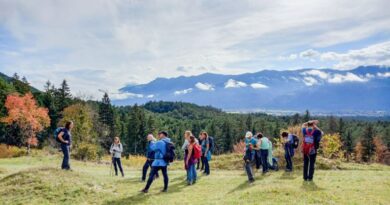 Highlights der Bergsturzlandschaft
