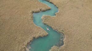 Mei liabste Weis - Franz Posch