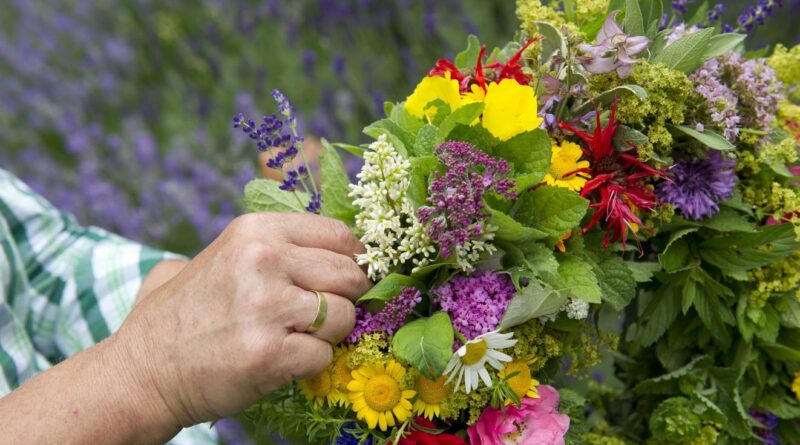 Kräuterkranzl binden