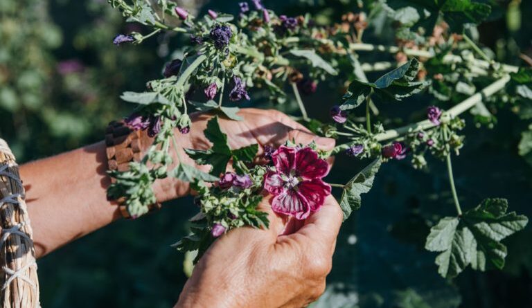 Kräuterspatz - Naturpark Dobratsch