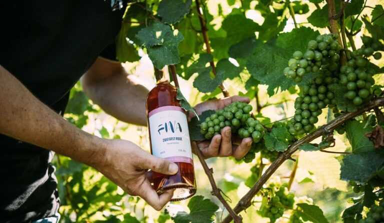 Picknick im Weingarten