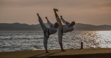 Taekwon-Do - Harry und Anna Gusel