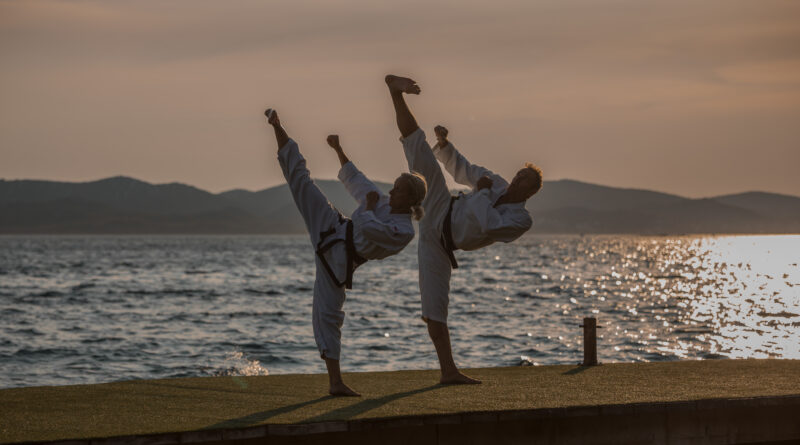 Taekwon-Do - Harry und Anna Gusel