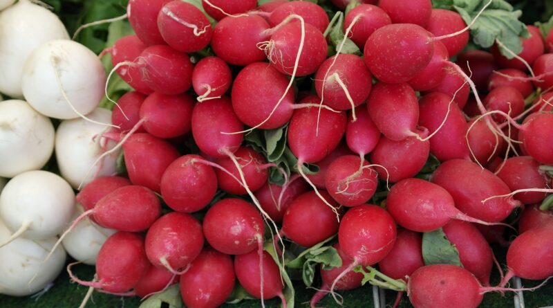 Gösselsdorfer Bauernmarkt