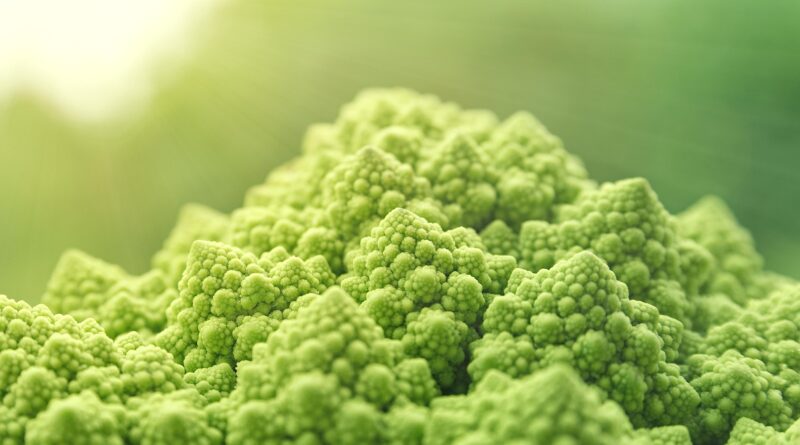 Der überschätzte Mensch