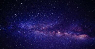Arktur und die Frühlingssterne
