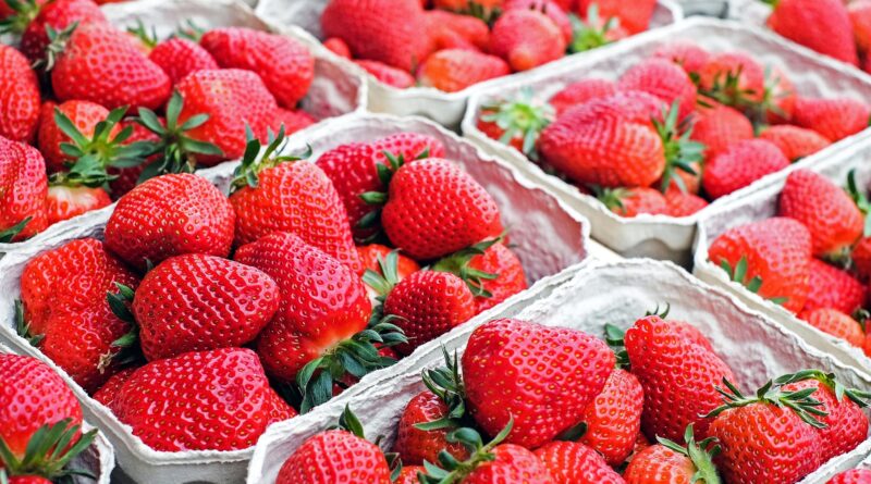 Erlebnistag mit dem Stiegerhof