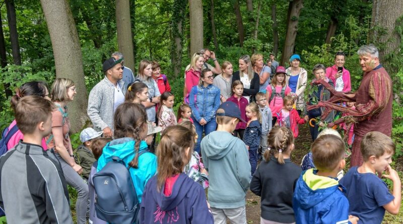 Wolfsberger Schlosszauberwald