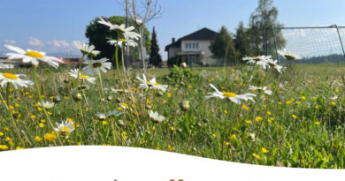 Wahlnuss-Schule Edling