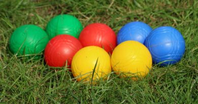 Wiesen-Boccia