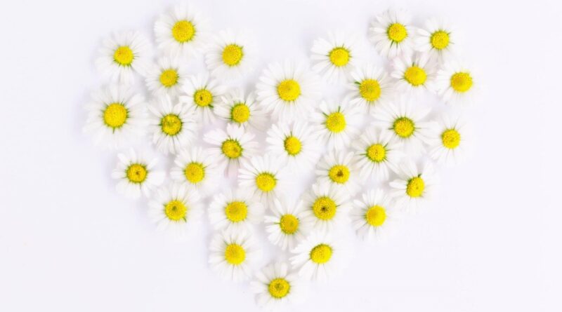 Überblicksführung am Vatertag