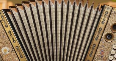 Harmonikawettbewerb