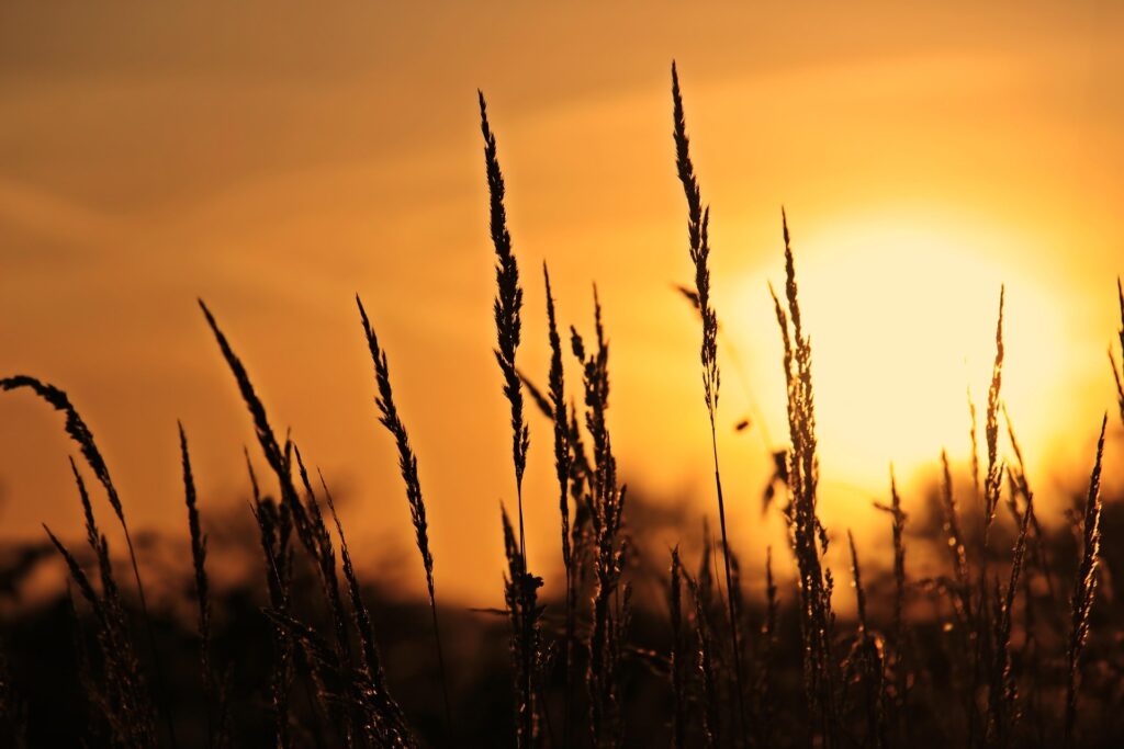 Sonnenaufgangswanderung