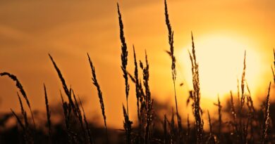Sonnenaufgangswanderung