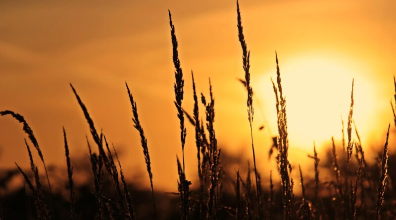 Sonnenaufgangswanderung