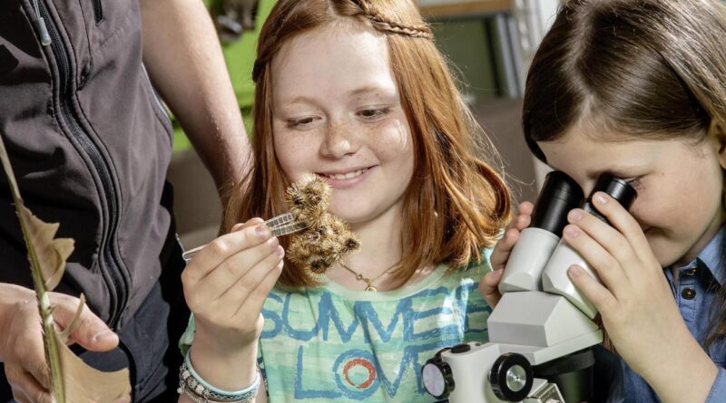 Jungforscherclub Mallnitz