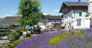 24. Irschner Kräuterfestival