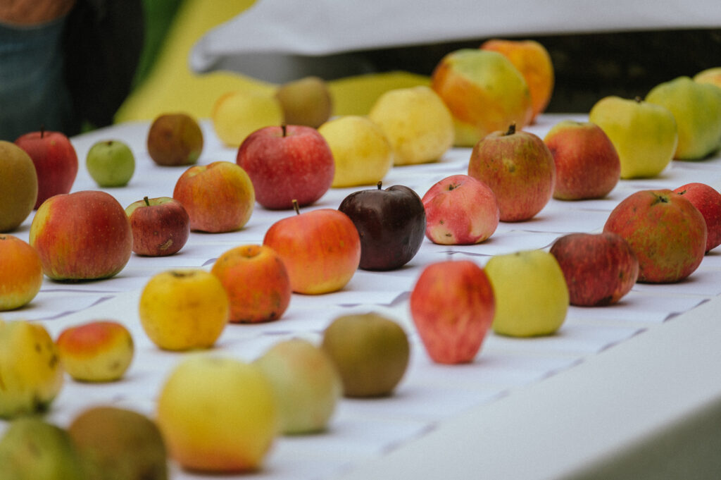 Streuobstfest Villach