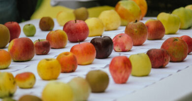 Streuobstfest Villach