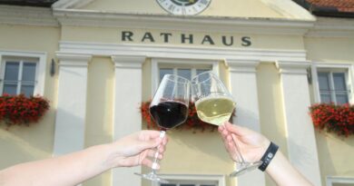 16. Völkermarkter Weinfest