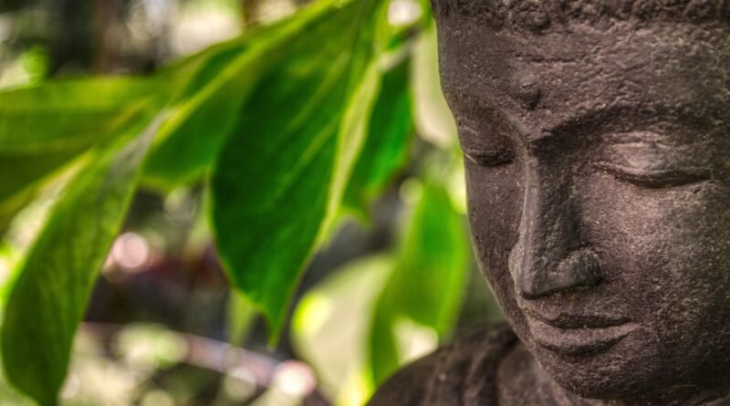 Qigong - Schloss Hunnenbrunn