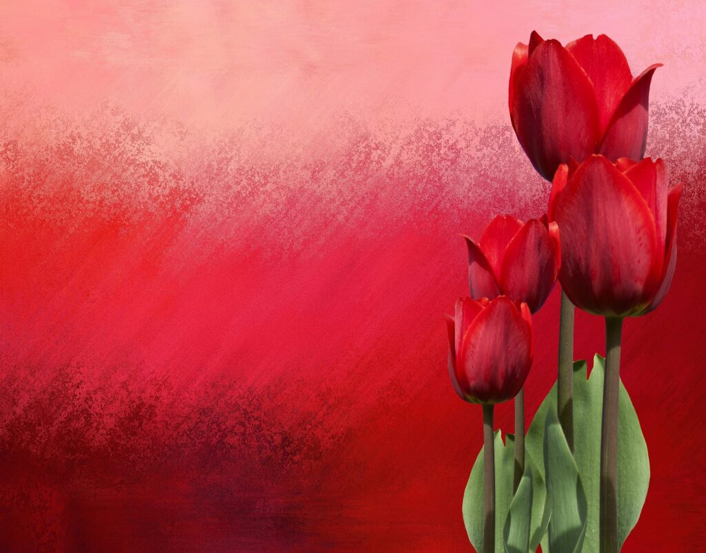 Blumen für Alma