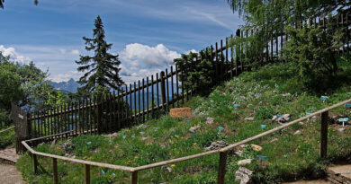 Barrierefreier Auflug zum Skywalk