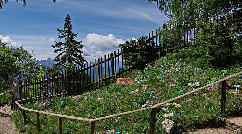 Barrierefreier Auflug zum Skywalk