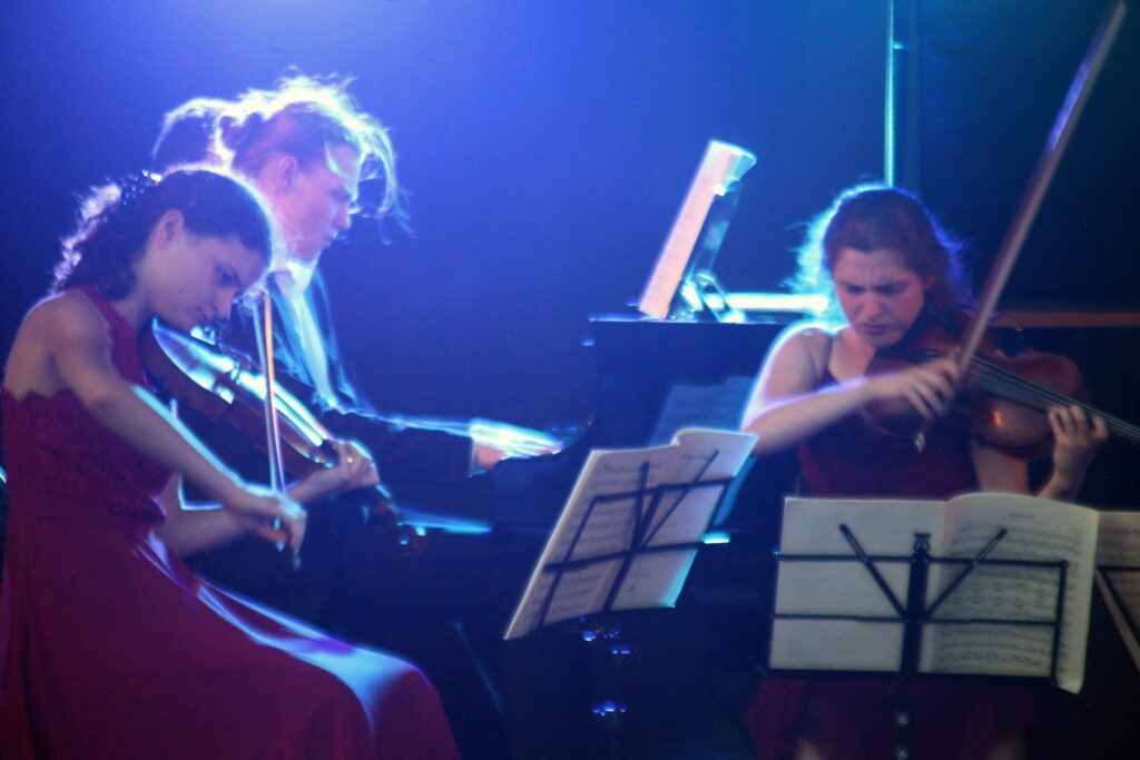 colluvio Chamber Music Academy