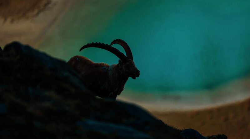 Fotowalk Heiligenblut