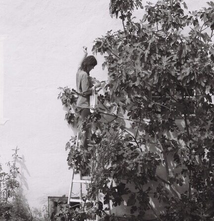 Kunst und Aktivismus