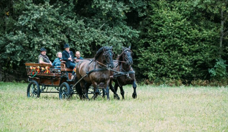 Kutschenfahrten zur Almwirtschaft Schütt