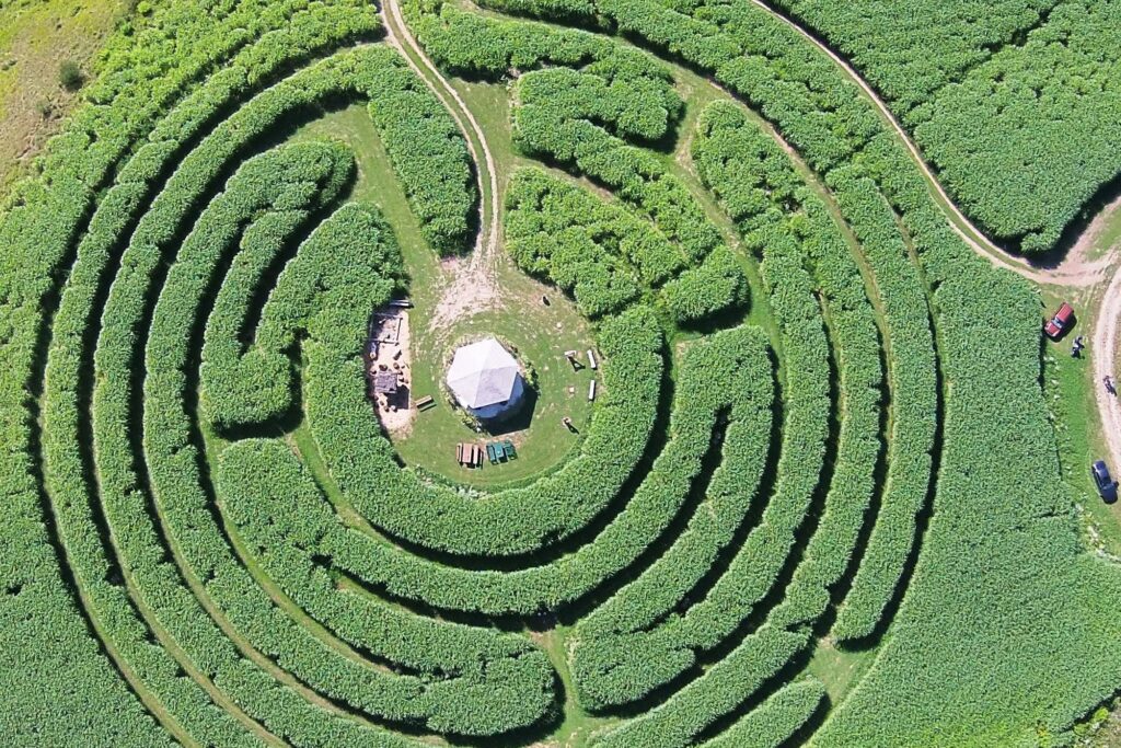 Labyrinth im Elefantengras