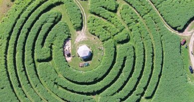 Labyrinth Im Elefantengras