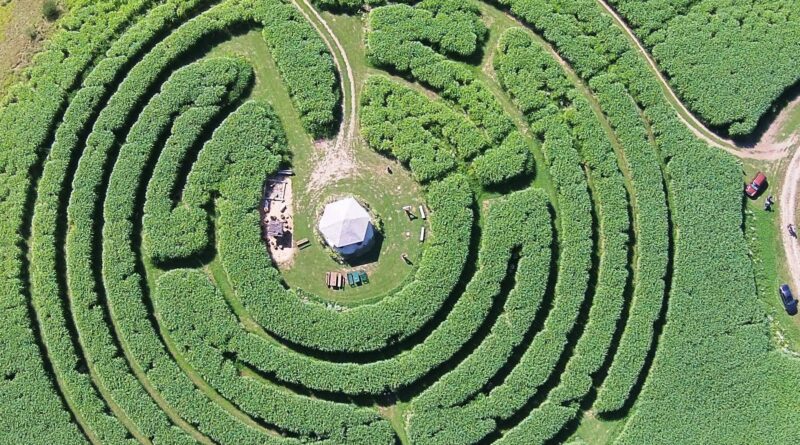 Labyrinth Im Elefantengras