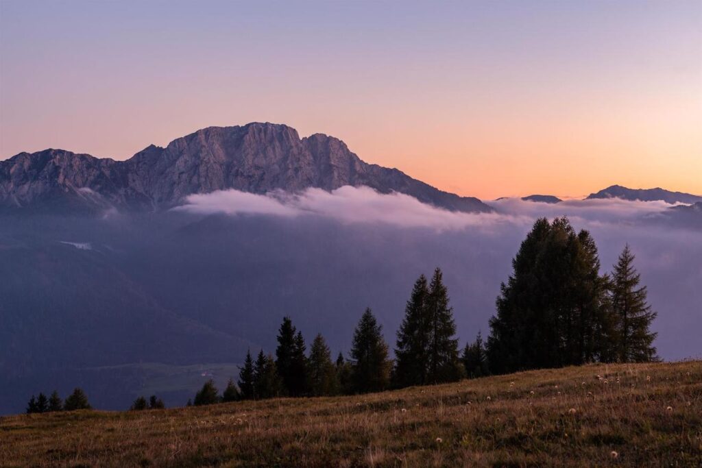 Dämmerung und Licht der Nacht