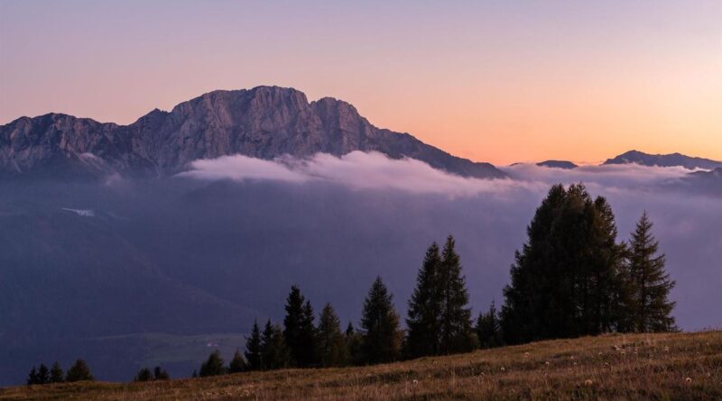 Dämmerung und Licht der Nacht