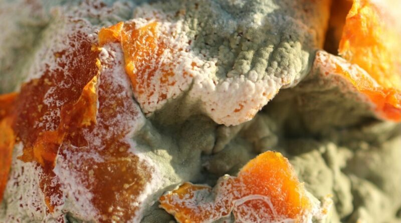 Das ist kein politisches Lied