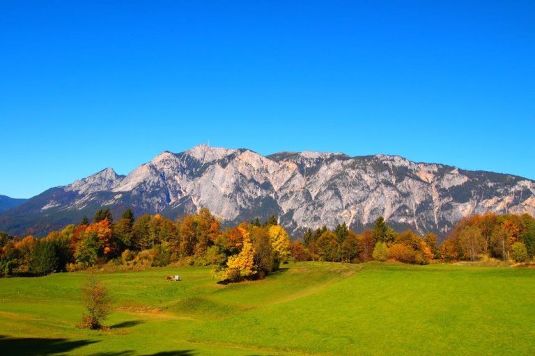 Fakt oder Fake – Lüge oder Wahrheit