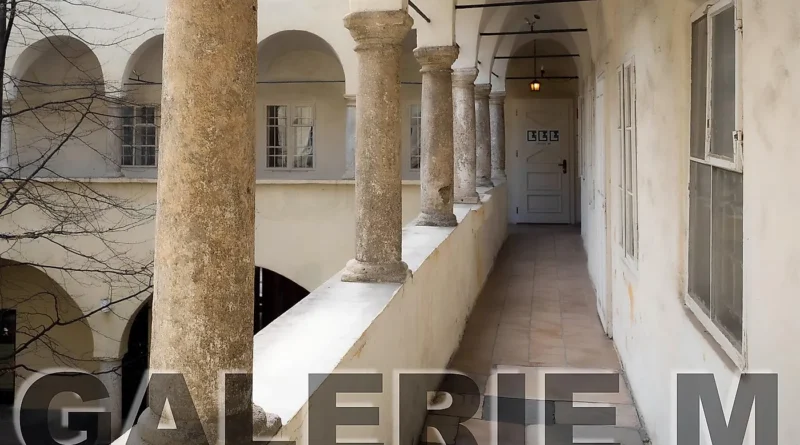 Verflechtungen - Galerie M