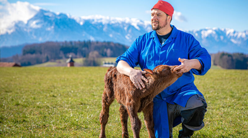 Petutschnig Hons - Buchhandlung Heyn