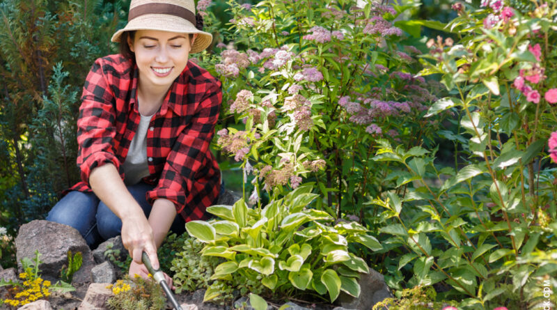 Regenwasser im Naturgarten